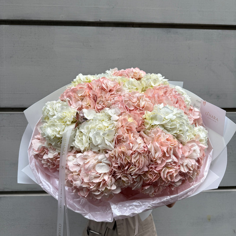 
                  
                    Wonderful Hydrangeas Cloud
                  
                