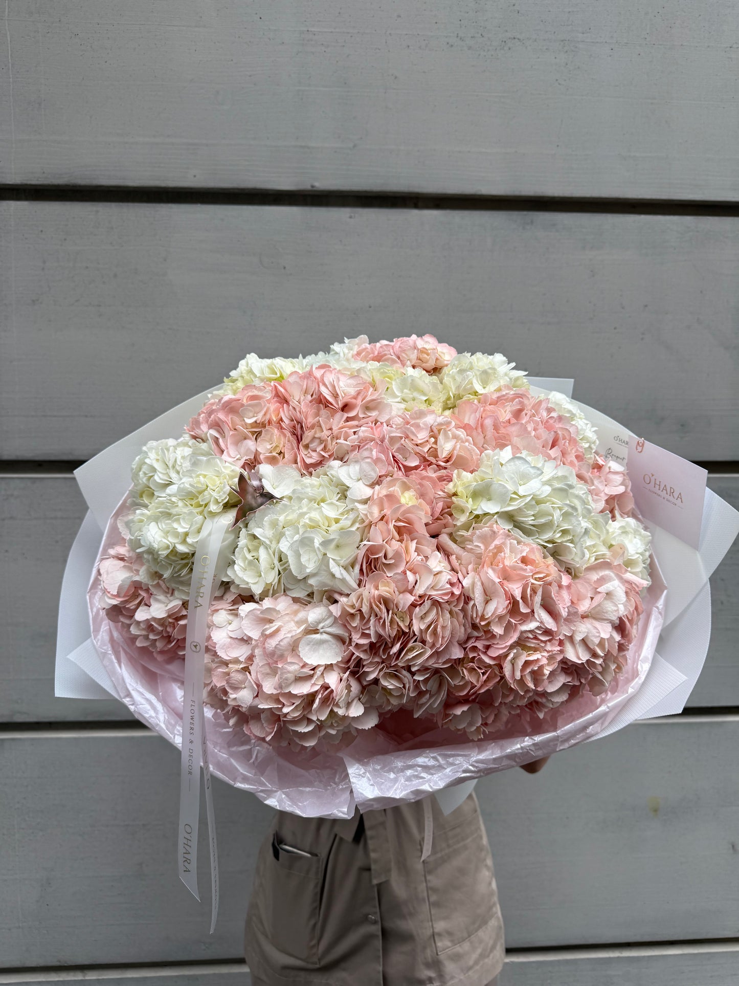 
                  
                    Wonderful Hydrangeas Cloud
                  
                