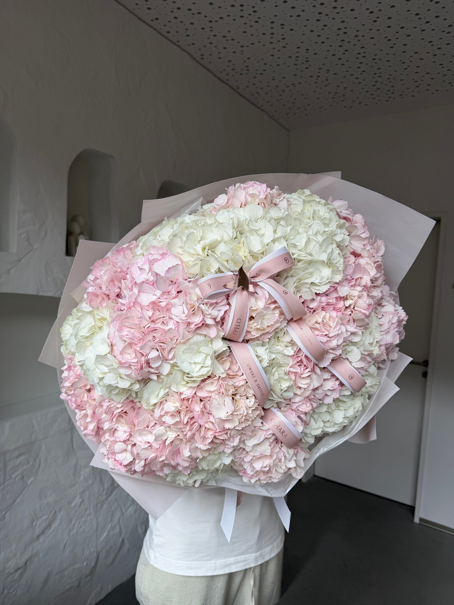 
                  
                    Airy Amour
                  
                