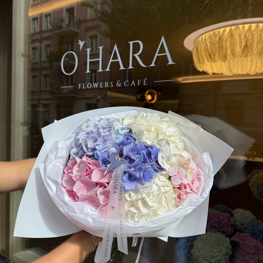 
                  
                    Hydrangeas paradise
                  
                