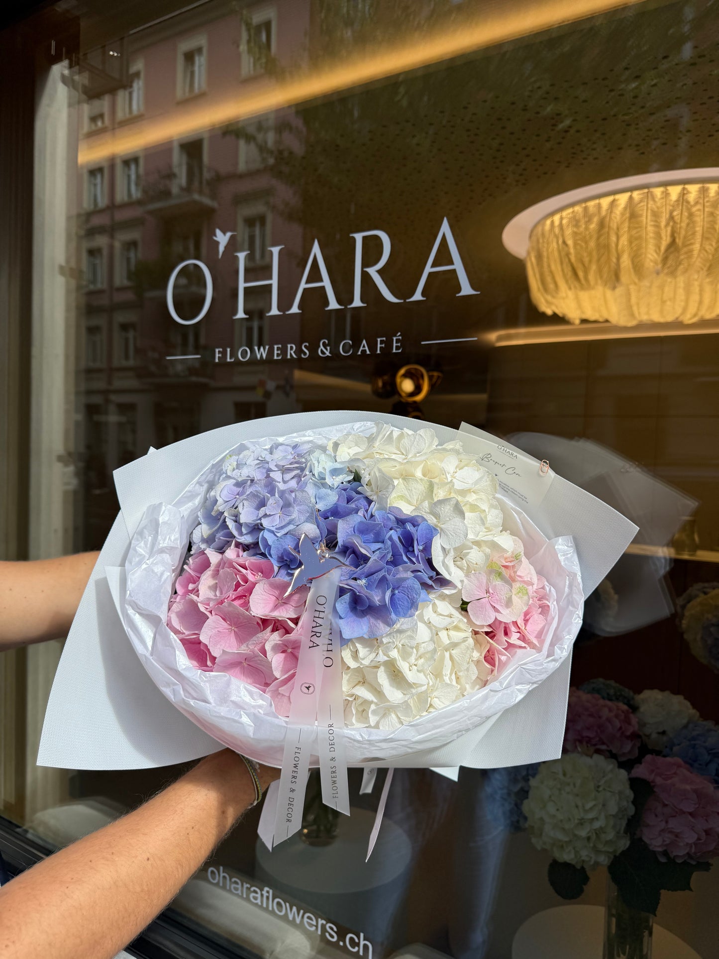 
                  
                    Hydrangeas paradise
                  
                