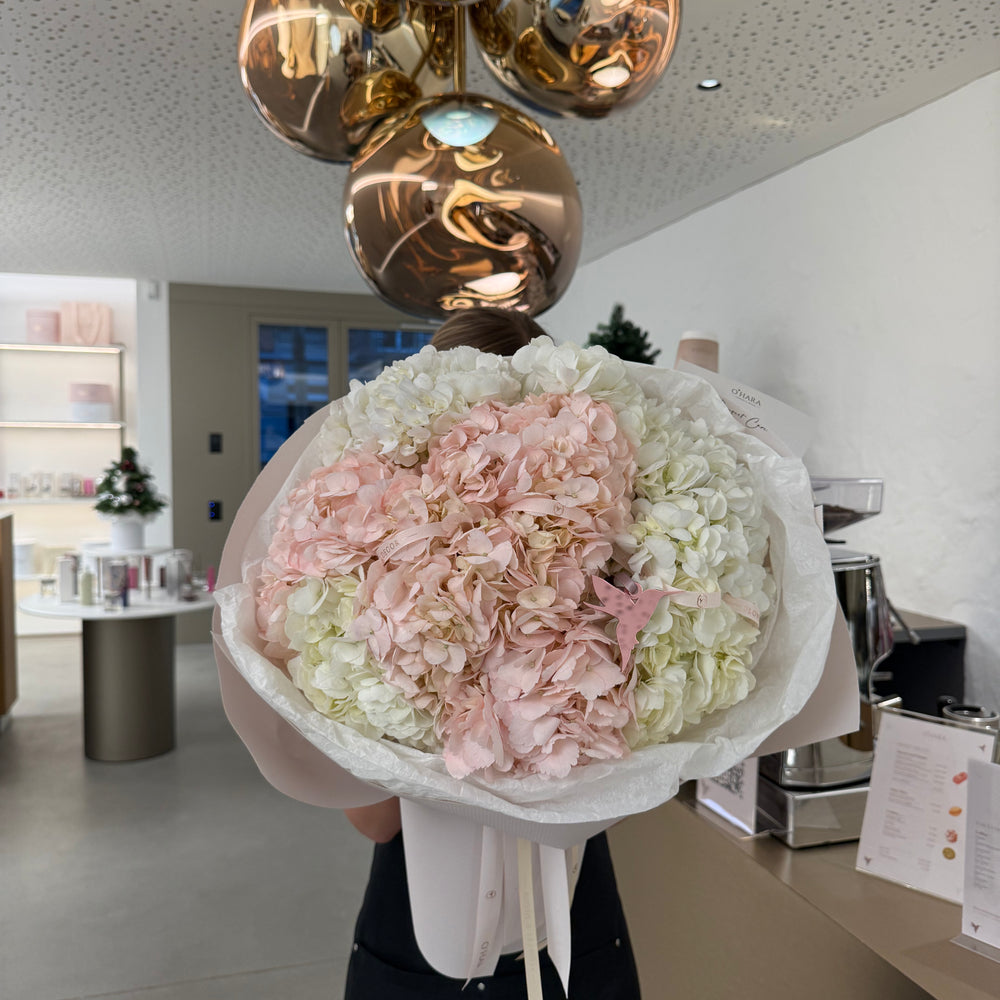 
                  
                    Wonderful Hydrangeas Cloud
                  
                