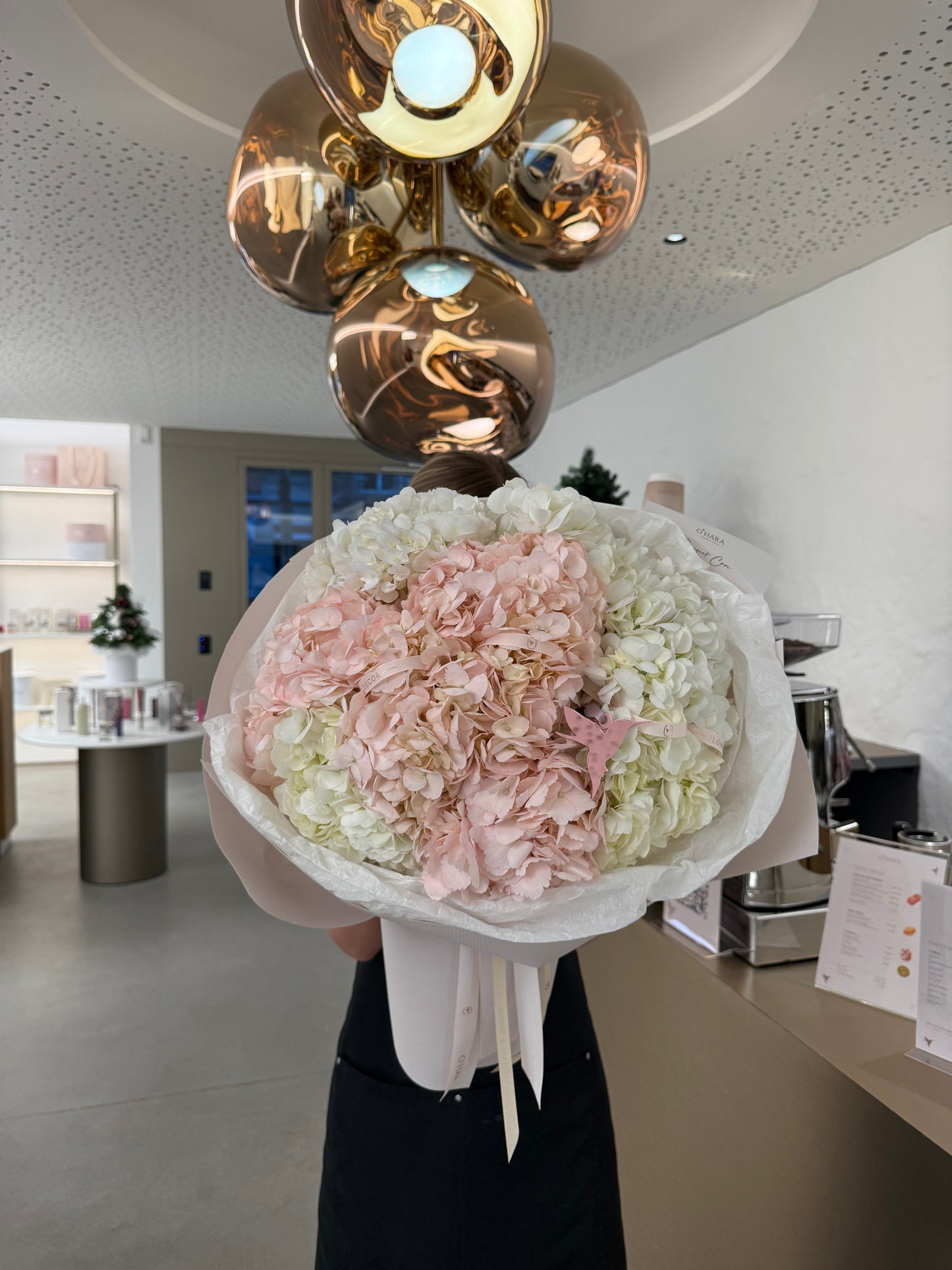 
                  
                    Wonderful Hydrangeas Cloud
                  
                