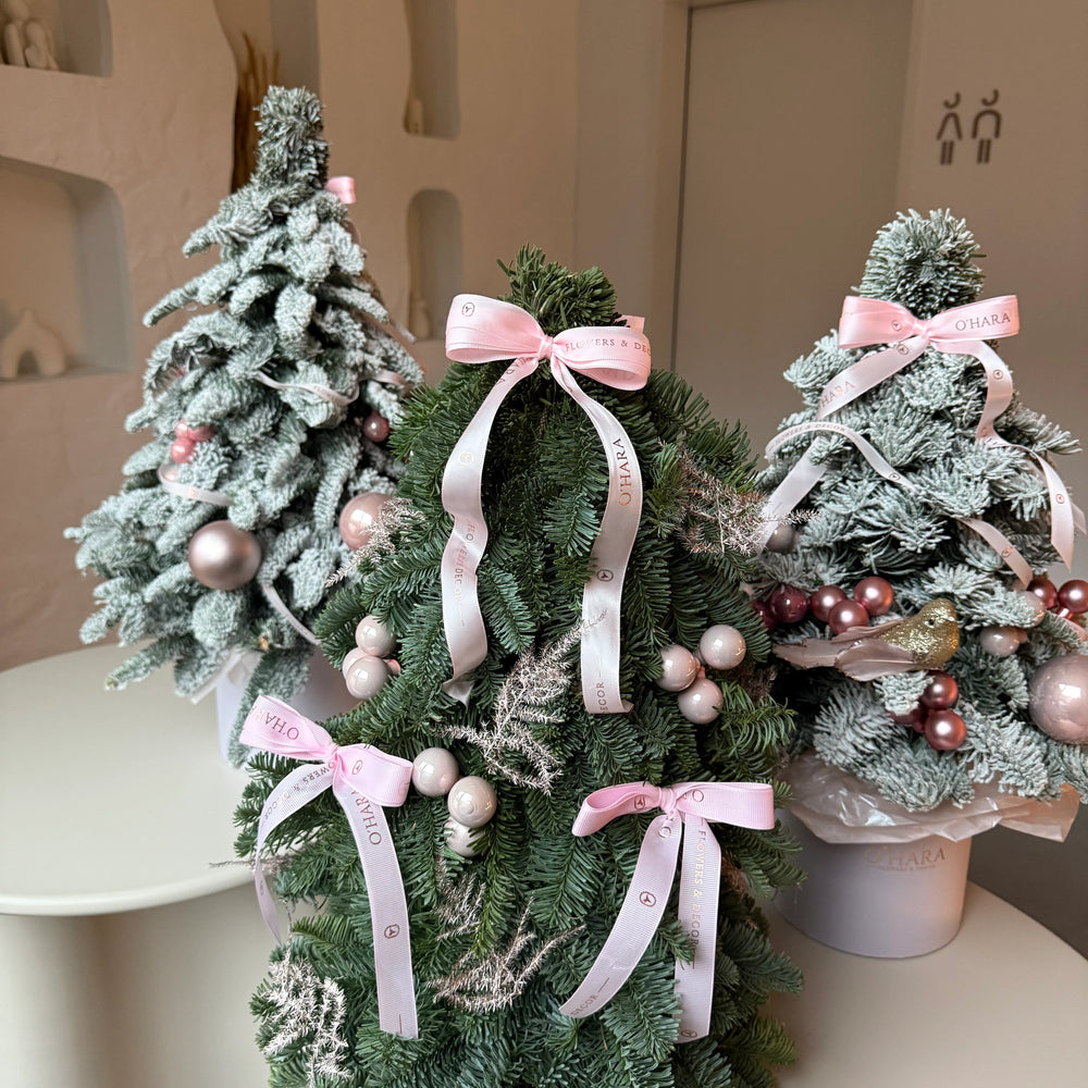 
                  
                    Festliche Jahreszeit
                  
                