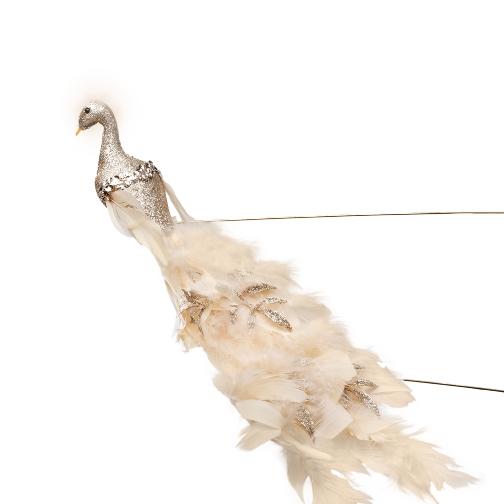 
                  
                    Праздничный сезон
                  
                