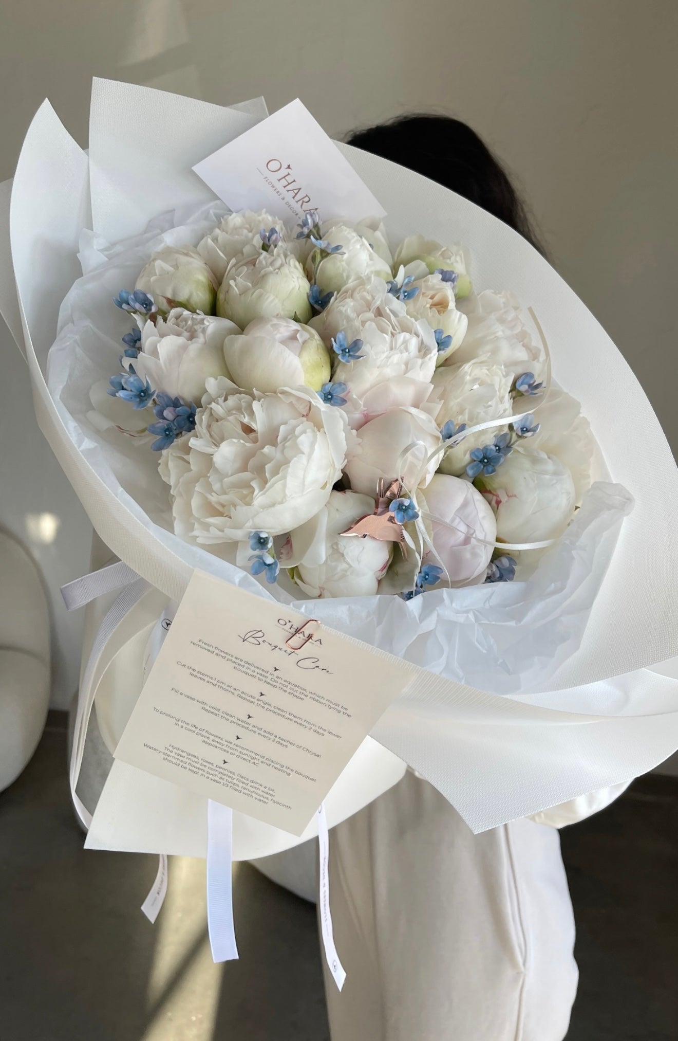 
                  
                    Cloud of Peonies
                  
                