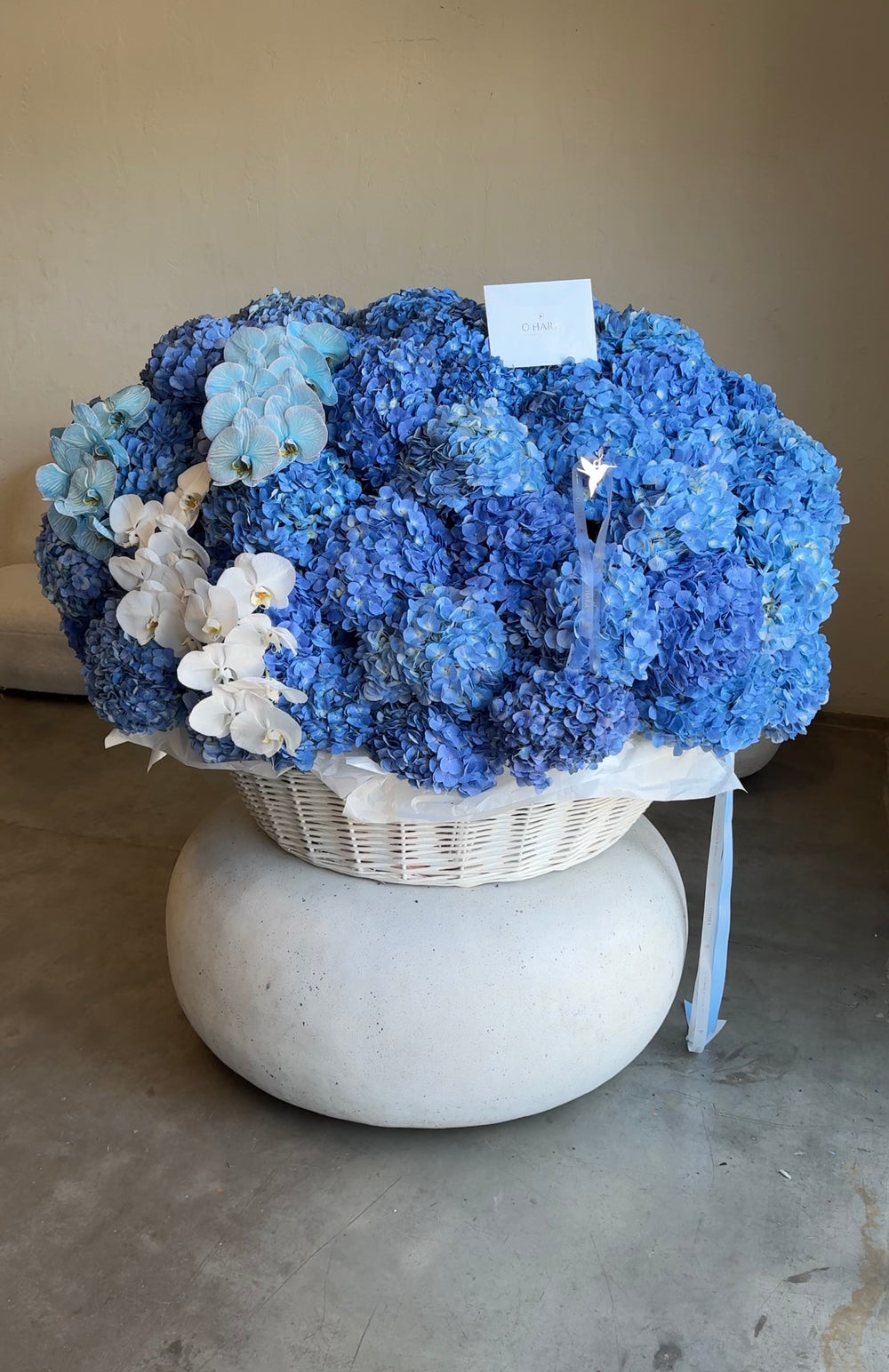 Blue cloud basket