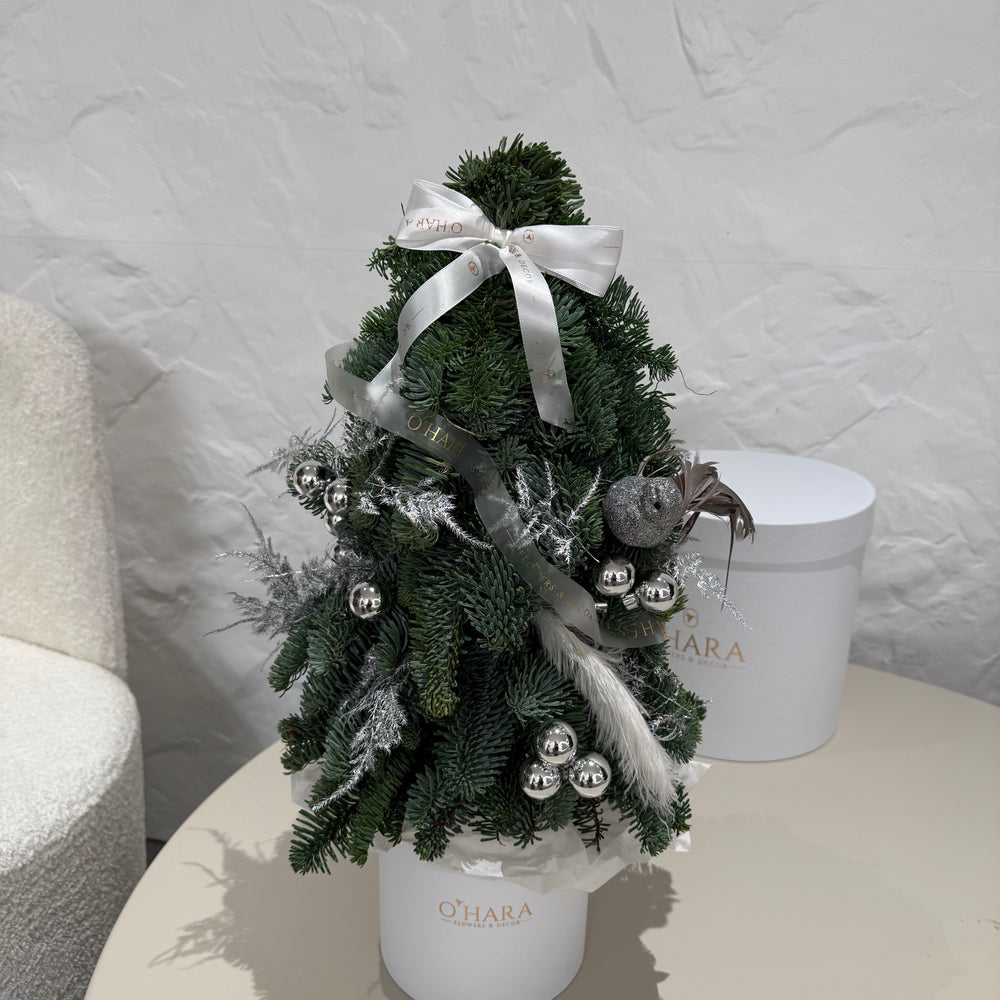 
                  
                    Праздничный сезон
                  
                