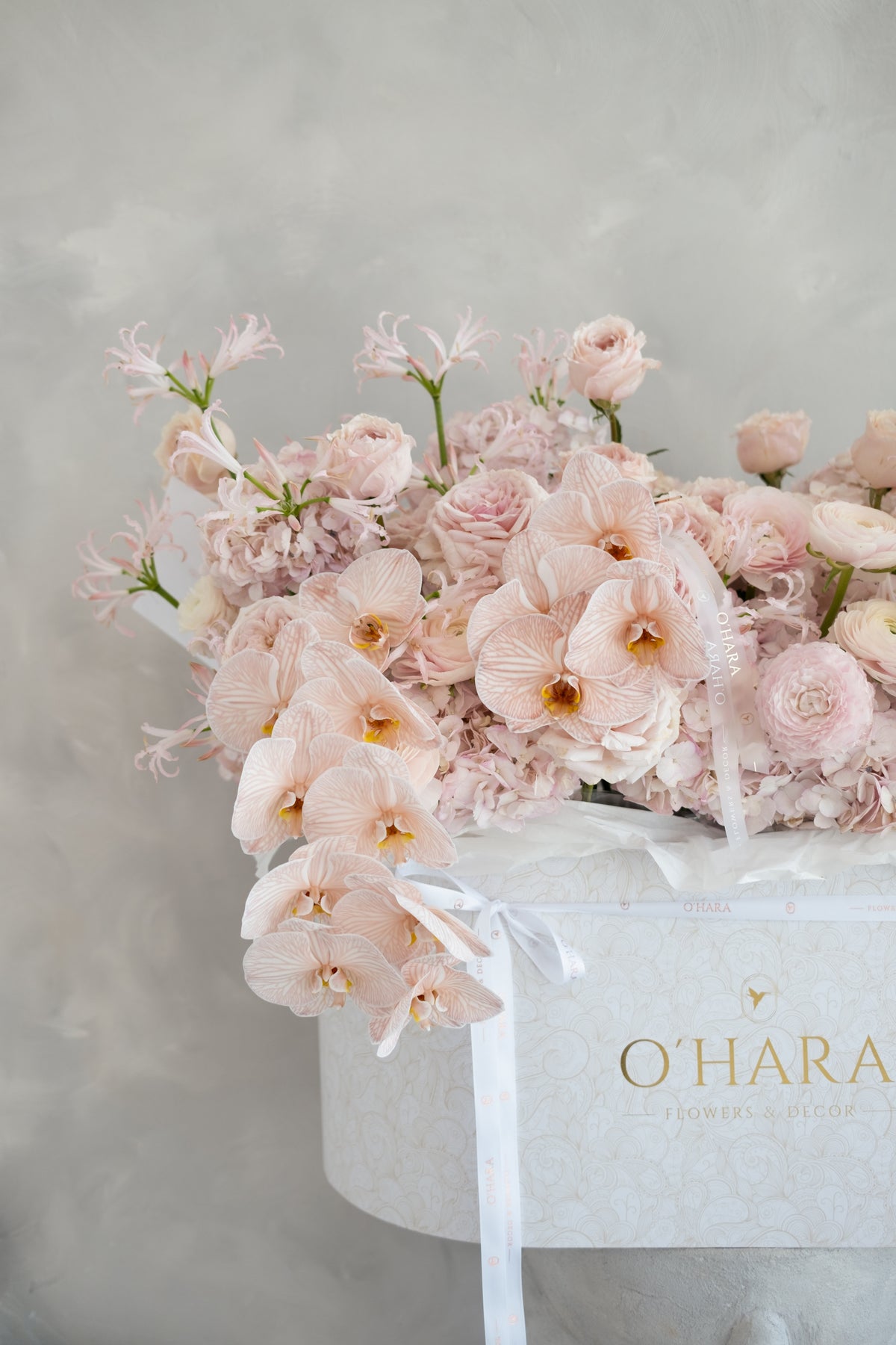O`Hara Zurich